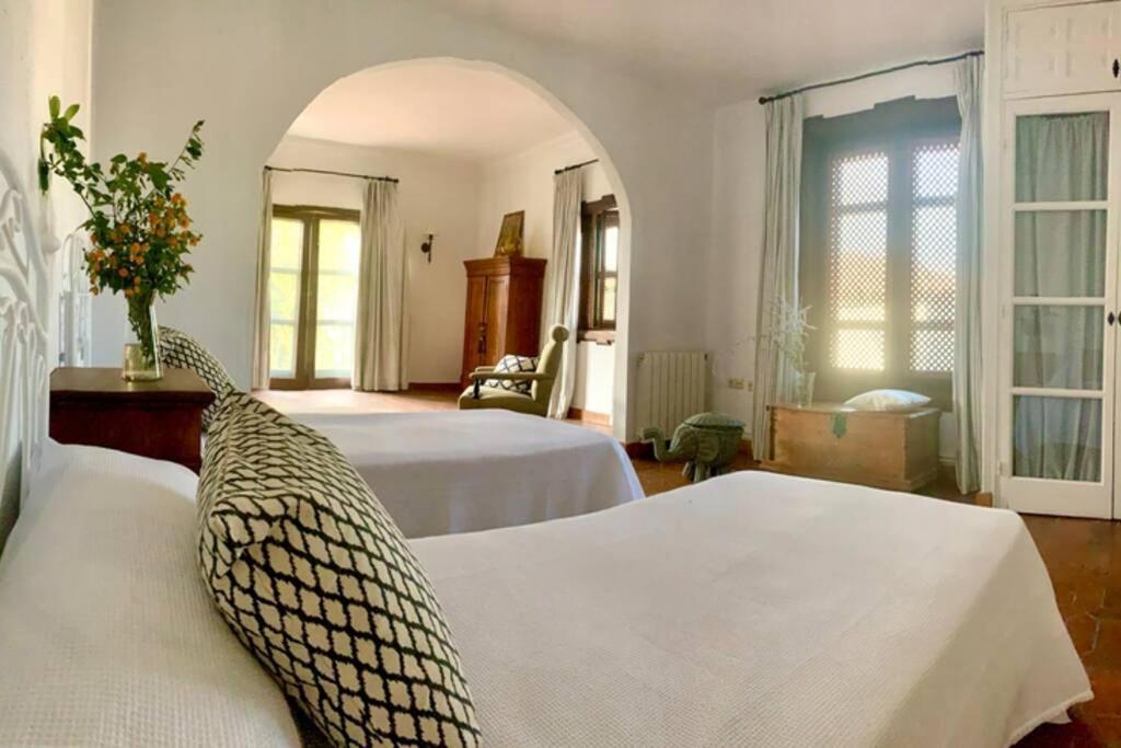 Un Autentico Oasis Rodeado De Historia Ronda Kültér fotó